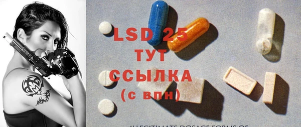 гашик Магас