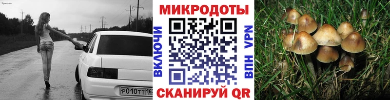 Псилоцибиновые грибы мицелий  Благодарный 