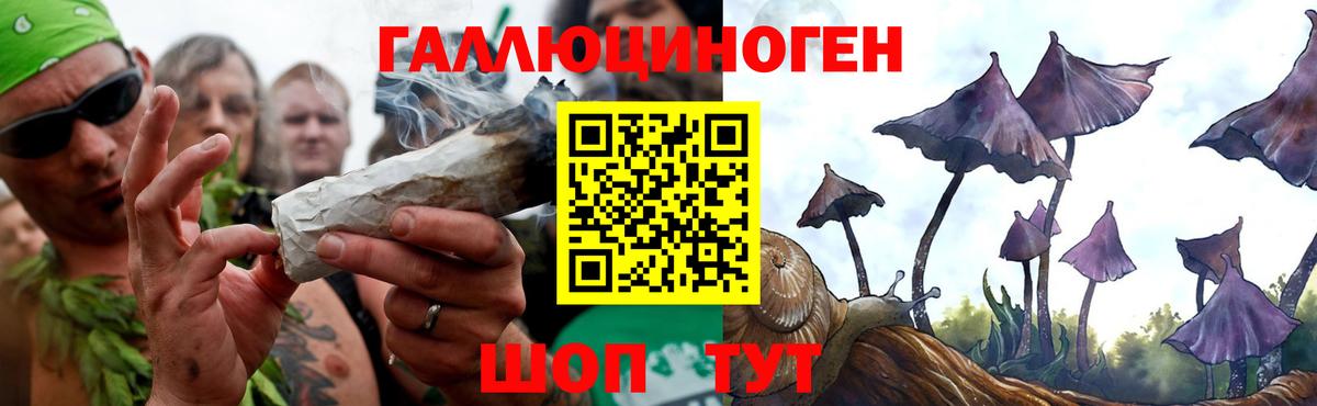 купить   Псилоцибиновые грибы Psilocybine cubensis  Благодарный  Вход с VPN  Галлюциногенные грибы мухоморы 